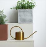Brass Stainless Steel metal Watering Can 1.2L, Long Spout,Modern Style