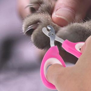 Quality Pink Color Pet Nail Scissors , Pet Pedicure Nail Grinder Ergonomic Design wholesale