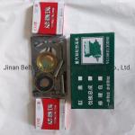 Transmission System Parts Gearbox Repair Kit Vg1560130080 for Sinotruk HOWO