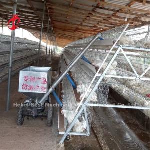 Quality 96 120 128 160 Birds 3 Tier And 4 Tier Layer Battery Cage System For Sale In Lagos Nigeria Sandy wholesale