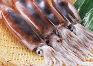 Quality Argentina Squid Dried Salted Squid Bqf 10 Kg Net Weight 100-150 Size wholesale