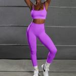 Quality 11 Colors Seamless Gym Clothing Outfits Women Fitness Yoga Set