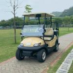 2 Passenger Electric Golf Cart 48V Lithium Battery