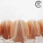 Customized Size PET Egg Blister Tray Disposable Vacuum Formed Plastic Trays