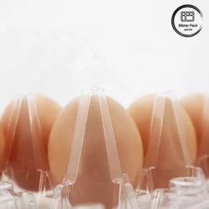 Quality Customized Size PET Egg Blister Tray Disposable Vacuum Formed Plastic Trays wholesale