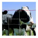 Powder Coated Cattle Fence for Agriculture Field Livestock Farm Hot Dipped