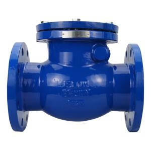 Quality Carbon steel stainless ANSI150 DIN PN16 WCB DI SS Stainless Steel Swing Type Check Valve wholesale