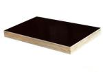 best price film faced plywood for construction