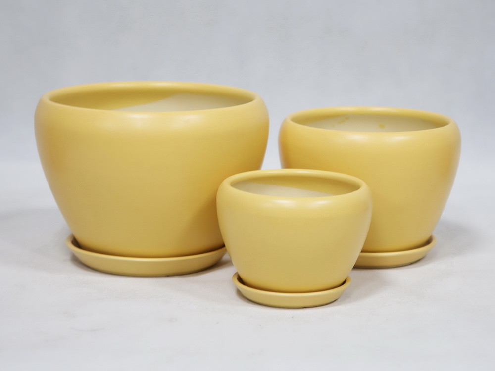 Affordable And Durable Ceramic Pots For Your Plants Custom Designs Available