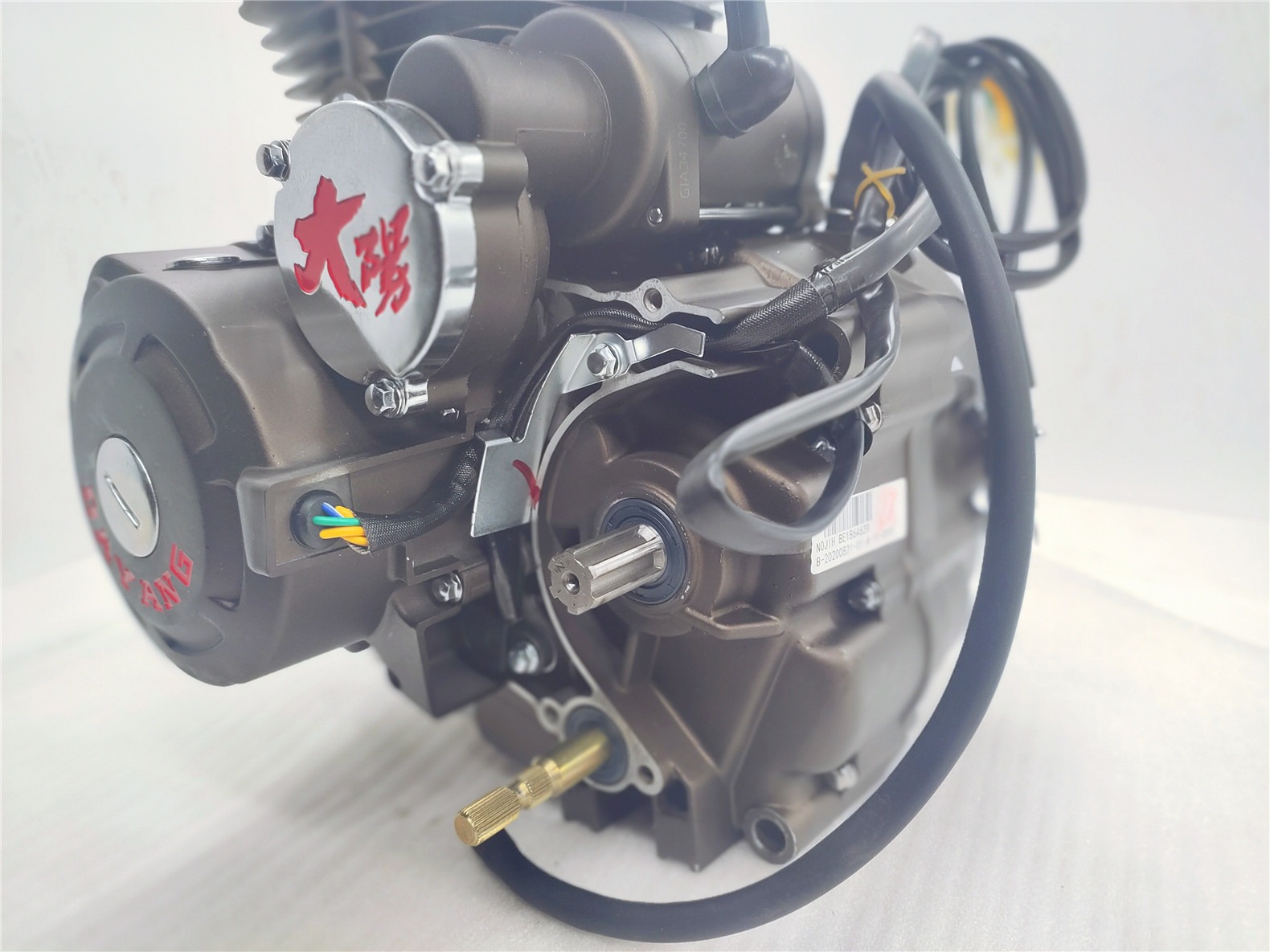 200cc Air-cooled DAYANG CG200 LIFAN Chinese Three Wheels Motorcycle Engines Assembly