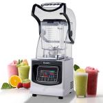 8 Speed Settings Supply Professional Ice Crusher Machine Commercial Smoothie