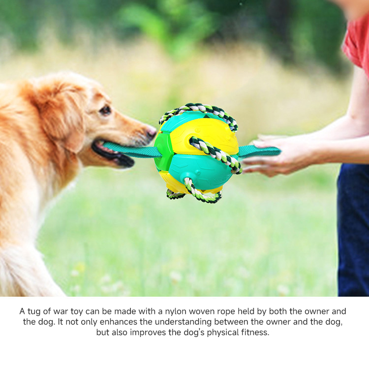Bite Resistant Training Dog Friendly Soccer Ball Outdoor Dog Soccer Ball With Tabs