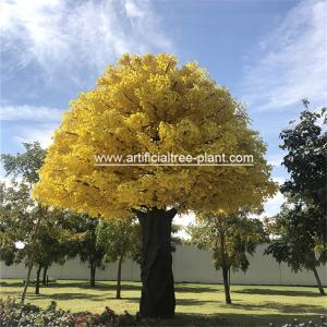 Quality Large Fiberglass Artificial Ginkgo Tree High Temperature Resistance wholesale