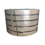 Spring Tempered 202 Stainless Steel Strips 50mm 20mm Cold Rolled Thin Ss 304