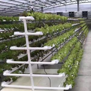 Quality Vertical Nft Hydroponic Growing Channel Grow System For Lettuce Salad Vegetables wholesale