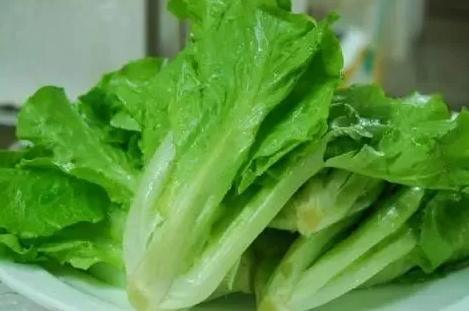Juxiang Leafy Vegetable Container House