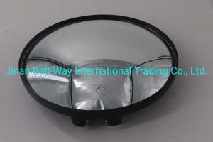 Quality Sinotruk HOWO Truck Parts Bottom View Mirror Wg1662770010 in Standard Black High wholesale