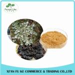 Reliable Supplier Best Discout for Red Clover Extract
