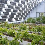 Greenhouse Heat Preservation with Large Capacity Storage and Photovoltaic Panels