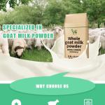 Full Fat Cream Raw Goat Milk Dry Powder Sterilized Type
