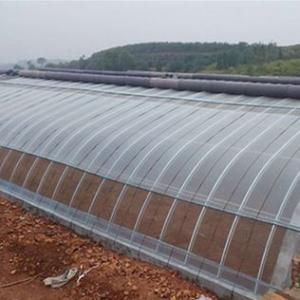 Quality 1209cm * 235cm * 239cm Film Greenhouse for Shading and Ventilation of Tomato Planting wholesale