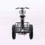 High Capacity Family Cargo Bike with Torque 80-90 Nm and Rear Carrier Battery