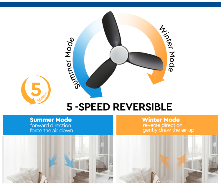 ceiling fan