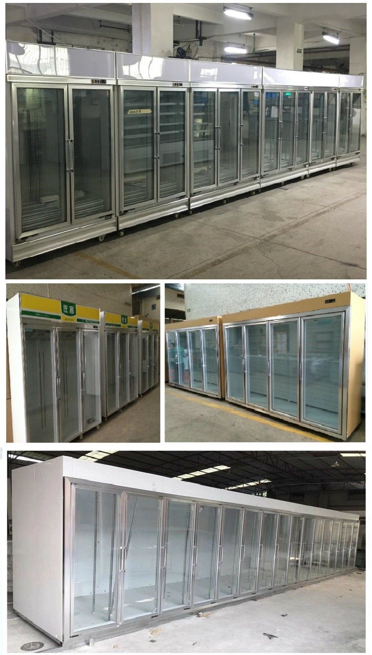 Upright Commercial Display Freezer Beverage Cooler
