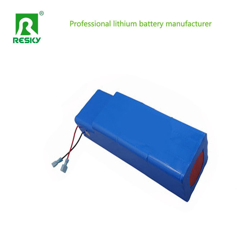 48V 20ah 1000W Lithium Battery Pack For Electric Vehicle