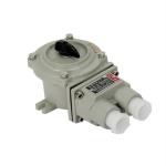 Hot Sale AC220V/380V Aluminum Alloy Explosion Proof Changeover Switch 5 Years