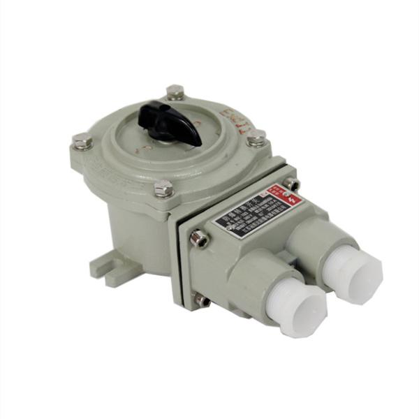 Hot Sale AC220V/380V Aluminum Alloy Explosion Proof Changeover Switch 5 Years