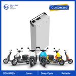OEM ODM LiFePO4 lithium battery pack NMC NCM battery Moped Motors Electric
