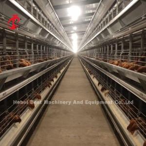 Quality Most Popular H Type Automatic Poultry Farming Cage System For Large Farm Adela wholesale