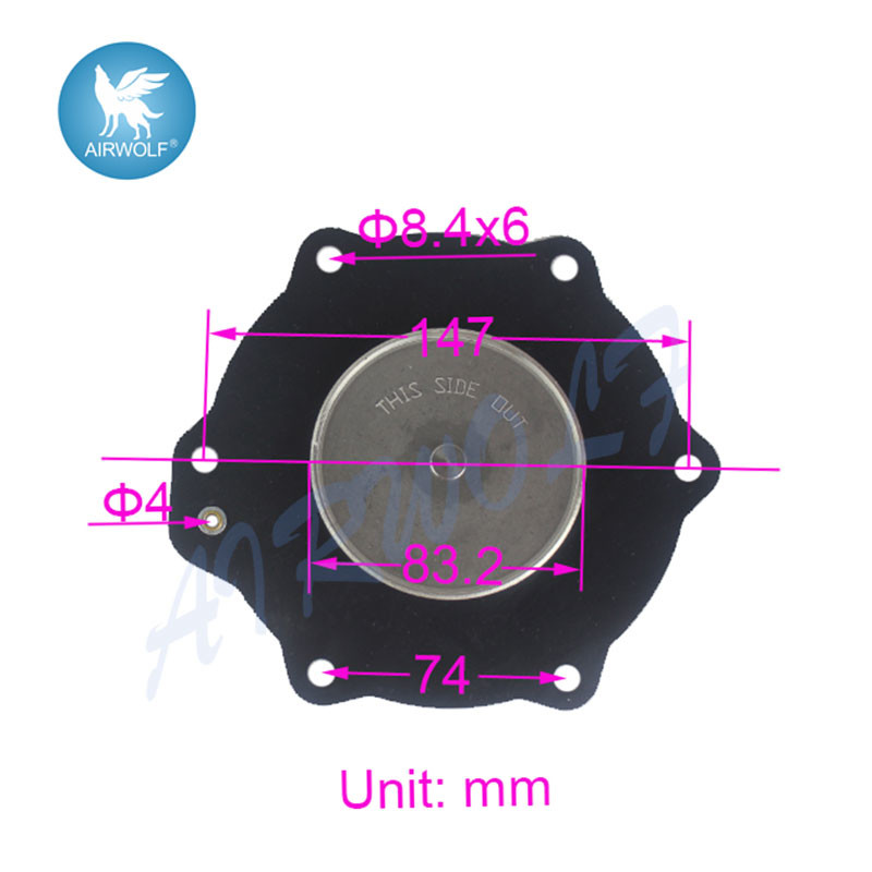 C113685 C113686 Diaphragm Repair Kit