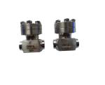 LOX LNG LIN LAR Liquid cryogenic tank High Pressure Check Valve, Globe valve