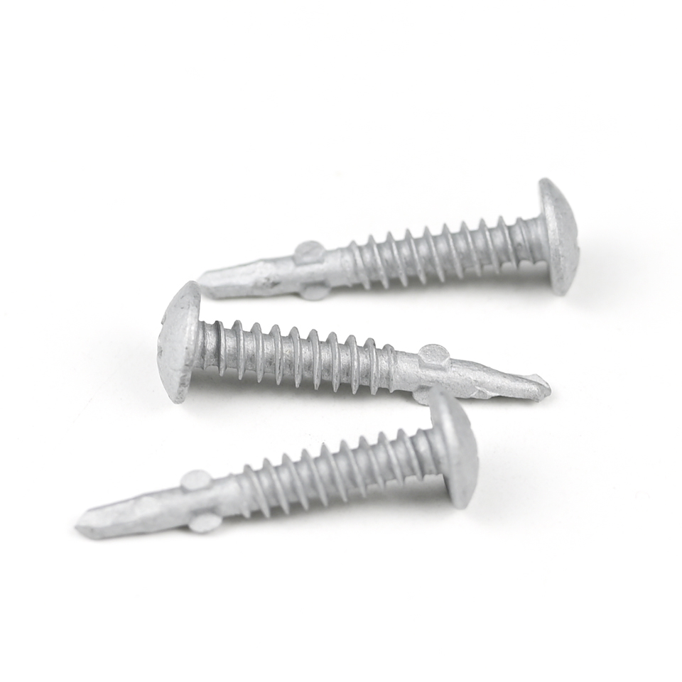 Standard Custom Screw Stainless Steel Phillips Truss Head Self Drilling Screw Tapping Screw