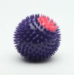 Great Gift TPR Plastic Squeaky Dog Balls Eco - Friendly Customized Color