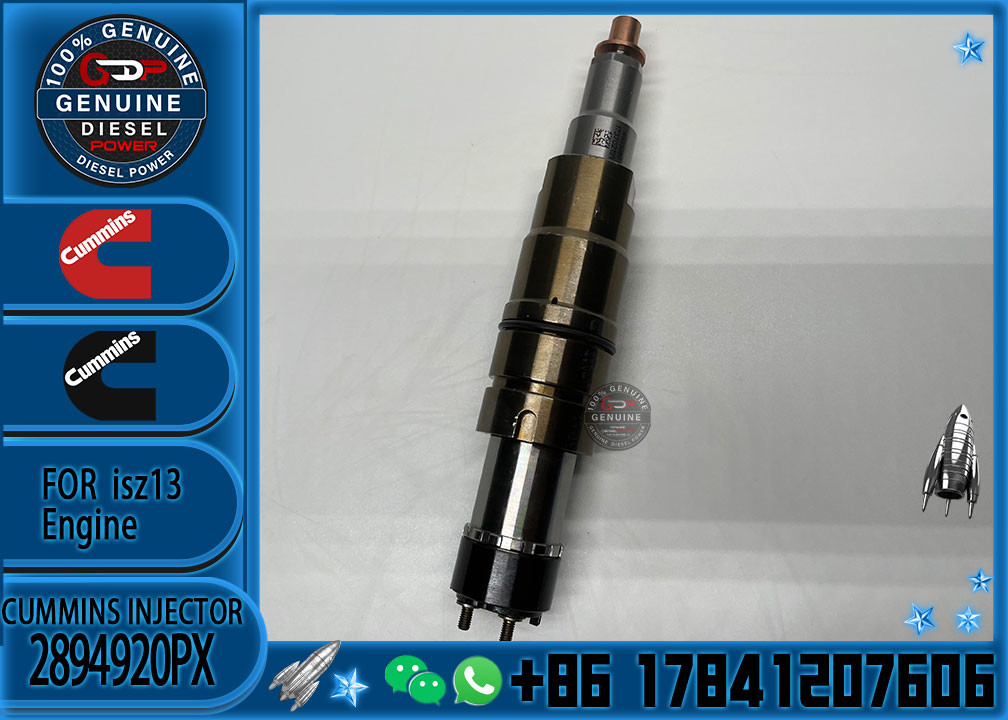 Hot-selling new Diesel common rail Fuel Injector 2894920PX 2894920