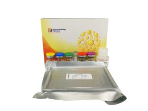 Quality High Sensitive Sandwich Vegf Elisa Kit 2.48ng / L Sensitivity 96 Wells wholesale