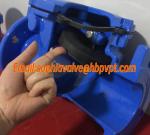 DN200 PN16 GGG50 cast iron flanged check valve