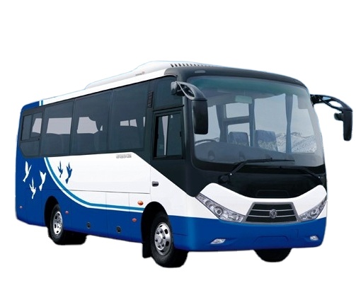 Fuel Type Diesel and CNG 28 Seats Low Floor Business Coach Bus for LHD RHD Drive Wheel