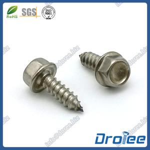 Quality Indented Hex Washer Head Stainless Steel 18-8 Sheet Metal Screws wholesale