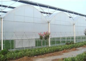 Quality 80m - 150m Plastic Film Greenhouse , Multi Span Greenhouse For Planter wholesale