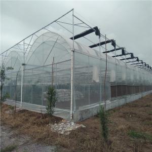 Quality Greenhouse Tomato Cucumber Strawberry Growing System with Film Cover and US Currency wholesale