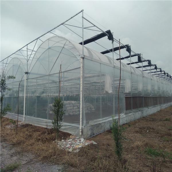 Juxiang Agricultural Nft Hydroponic Film Greenhouse for Vegetable Cultivation