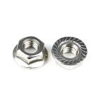 Customizable Din6923 A2 Stainless Steel Hexagon Flange Nut M6 1mm