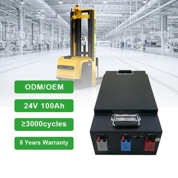24V Golf Cart Floor Scrubber Customizable Lifepo4 Lithium Battery Pack for AGV