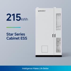Quality 100kW/215kWh All-In-One BESS Battery System wholesale
