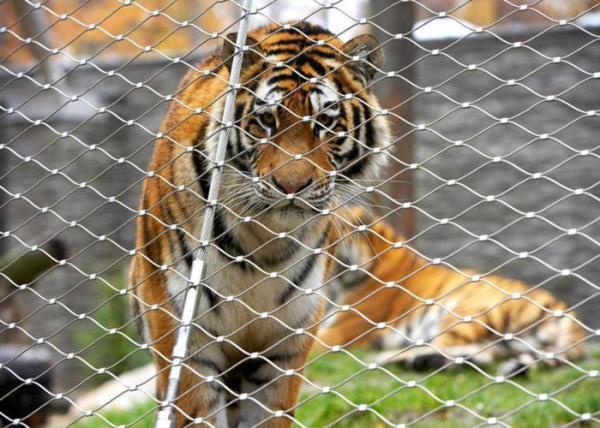 High Tensile Strength Animal Enclosure 316 Flexible Stainless Steel Cable