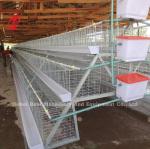 120 Birds 200 Birds Capacity Poultry Battery Cage System For Layers Broilers
